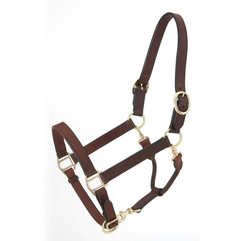 Royal King Leather Stable/Grooming Halter