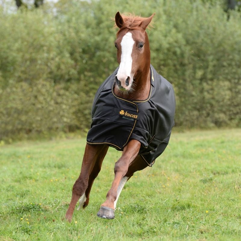 Bucas Irish Turnout Light 50g