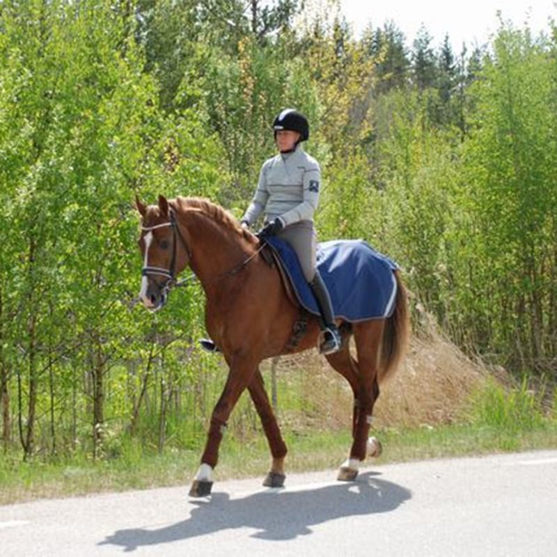 Bucas Riding Rug Navy