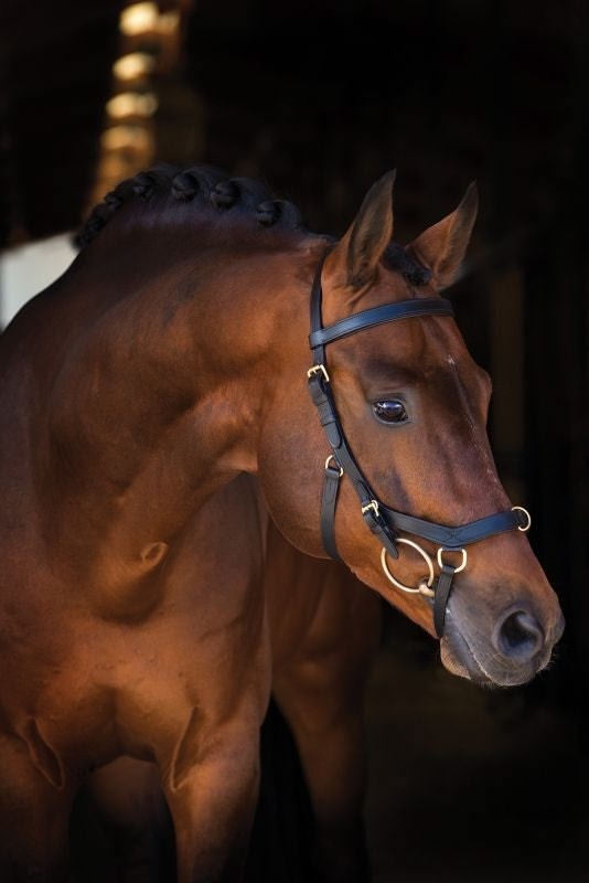 Micklem Deluxe Competiton Bridle English Leather L