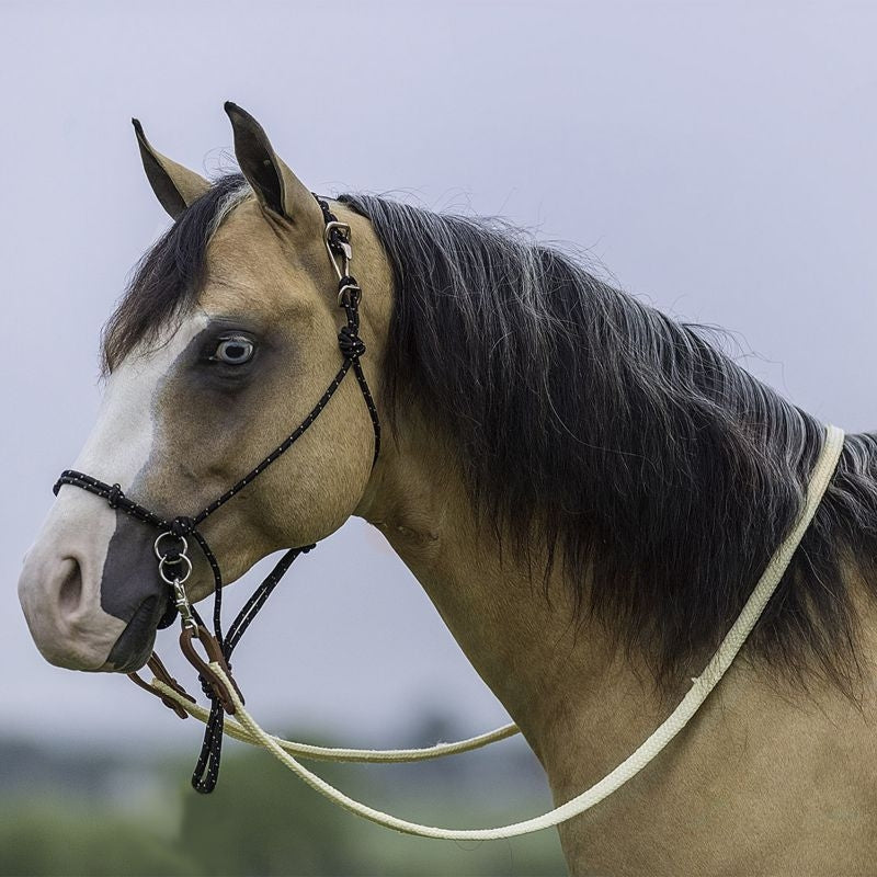 Mustang Bitless Halter Bridle