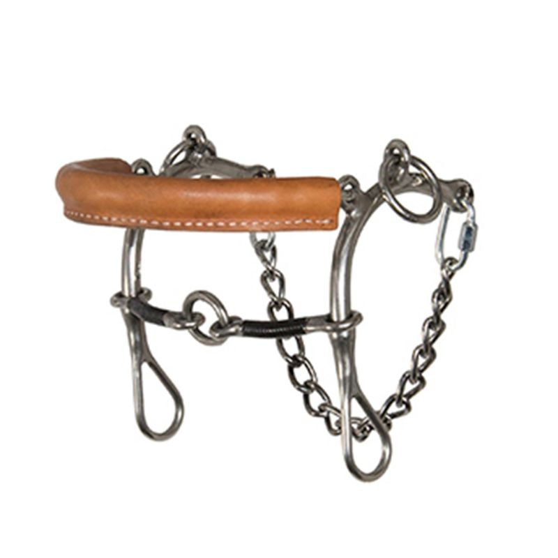 Reinsman Sharon Camarillo Cajun Bit