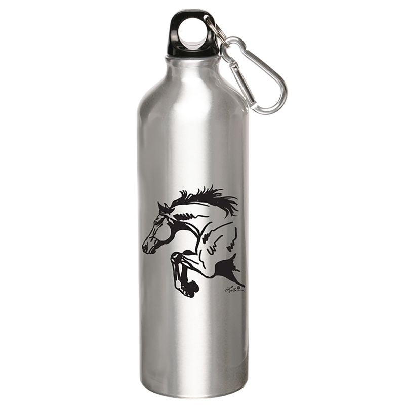 Lila Aluminum Sports Bottle with Carabiner