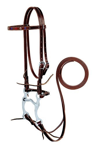Weaver Stars Embroidered Pony Bridle