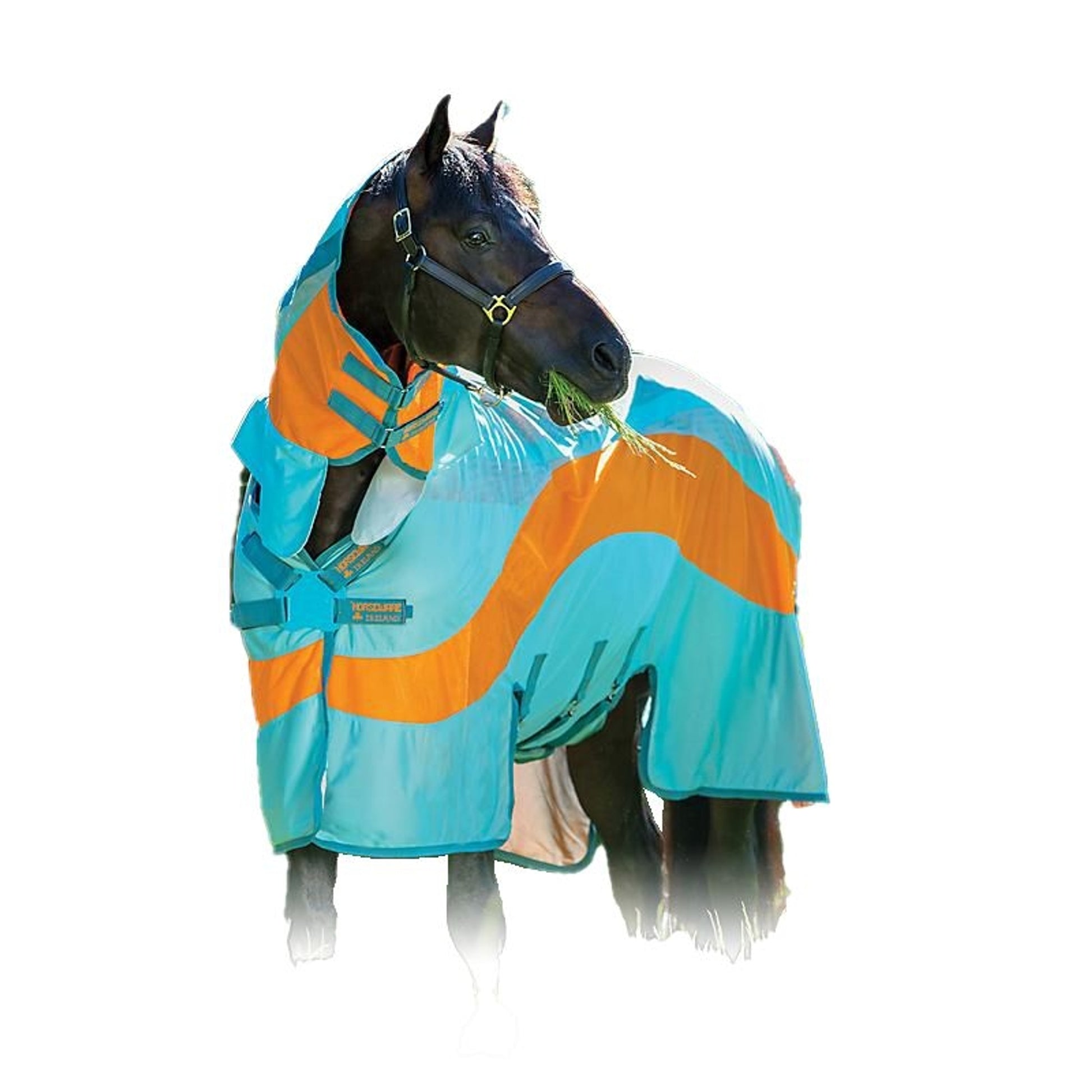 Amigo Evolution Fly Sheet 60 Aqua/Orange