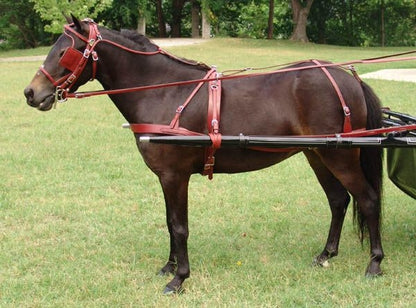 TE023594_07.jpg