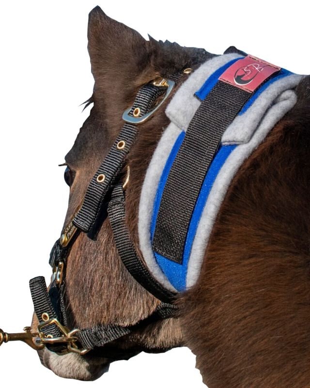 Ozark Premium Mini/Pony Throatlatch Sweat