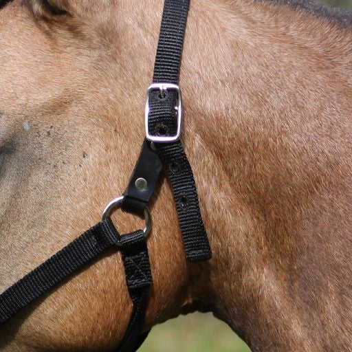 Weavers Tack Mini Leather Breakaway Halter Tab