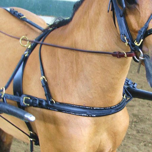 Ozark Mini/Pony Breast Collar/Buckle Traces