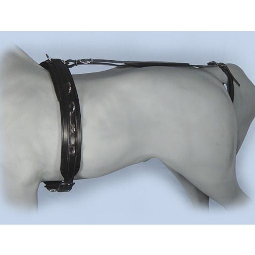 Ozark Mini/Pony Training Surcingle