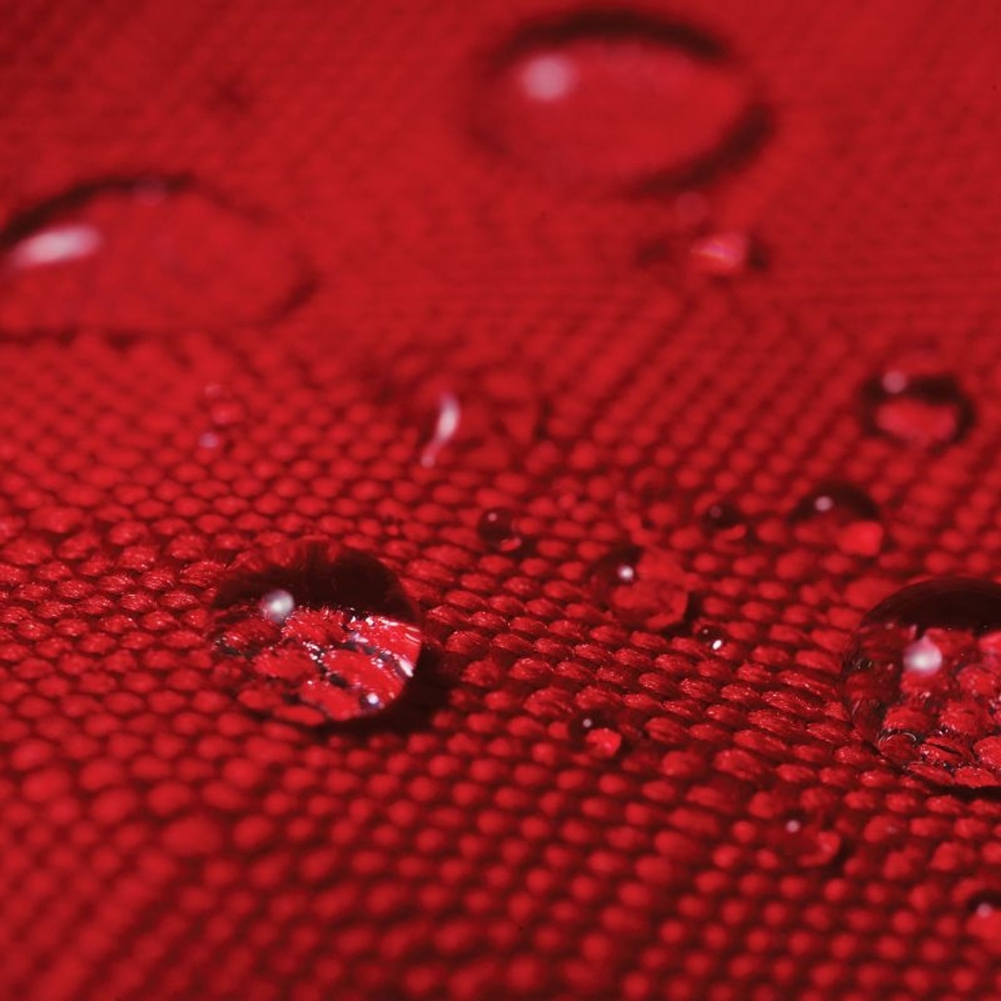 TE023755_RED_03.jpg