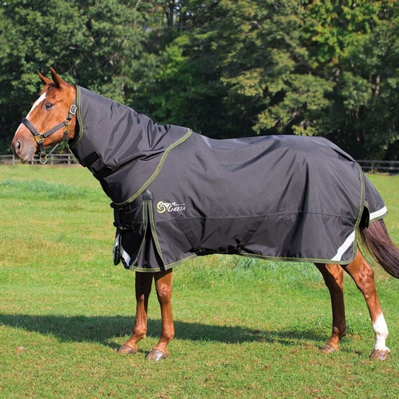 Couverture d'équitation imperméable Arika Storm-Tek 50g Couverture d'équitation imperméable Arika Storm-Tek 50g