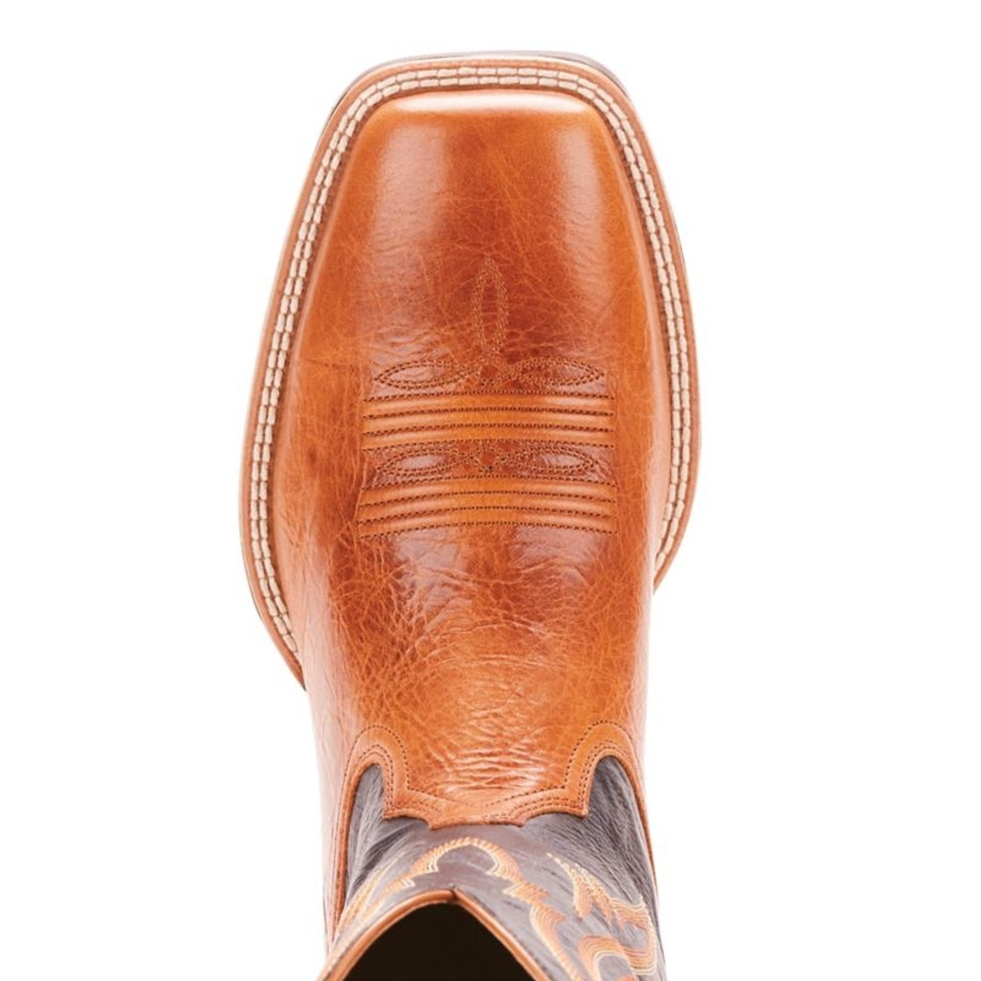 TE024668_toe.jpg