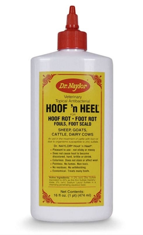 Dr. Naylor Hoof N Heel 16 oz