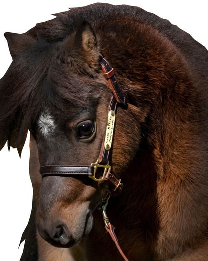 Ozark Mini/Pony Personalized Leather Halter