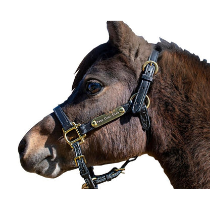Ozark Mini/Pony Personalized Leather Halter