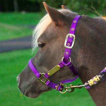 Ozark Mini/Pony Personalized Nylon Halter