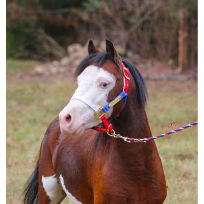 Ozark Mini/Pony Personalized Nylon Halter