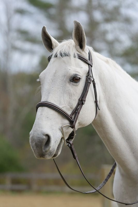 Shires Avignon Nashville Bridle - Thumbnail 2
