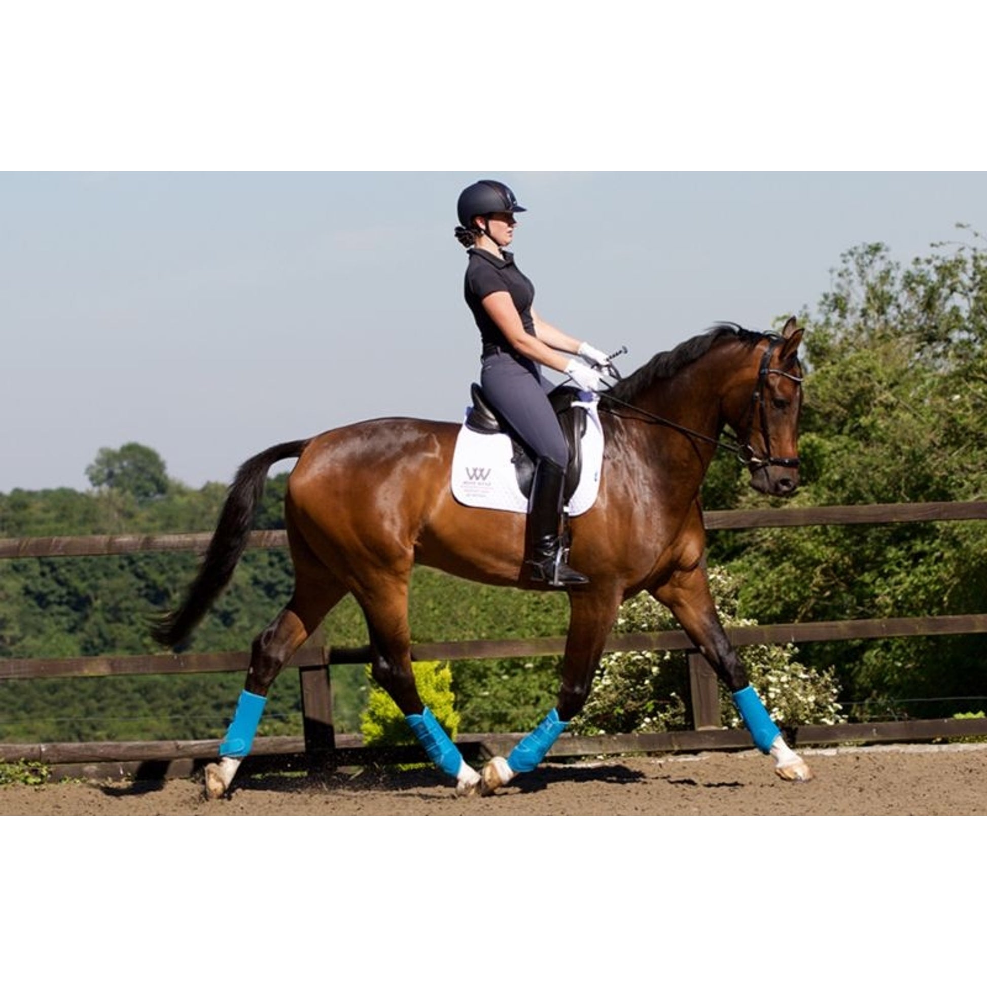 TE025304_on_horse.jpg