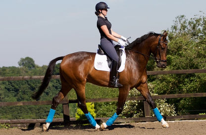 TE025304_on_horse.jpg