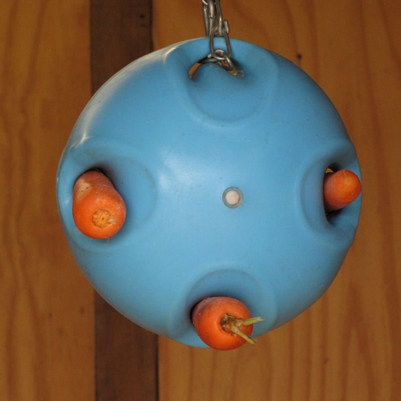 Shires Carrot Ball Horse Toy