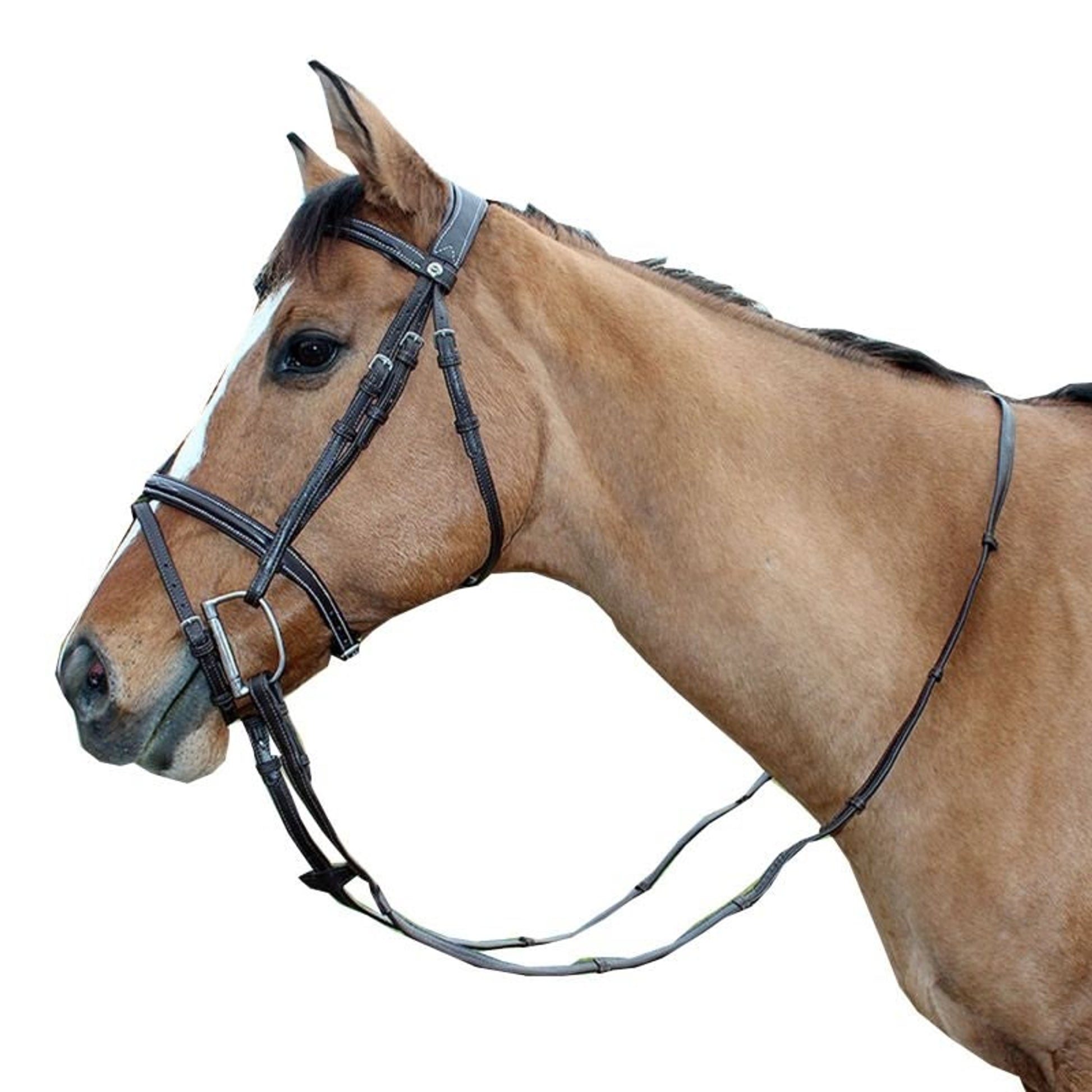 HDR Kushy Bridle with Flash Attachment