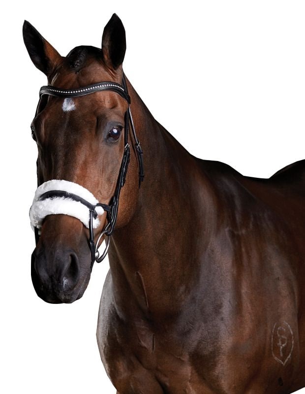 Collegiate ComFiTec Sheepskin Bridle