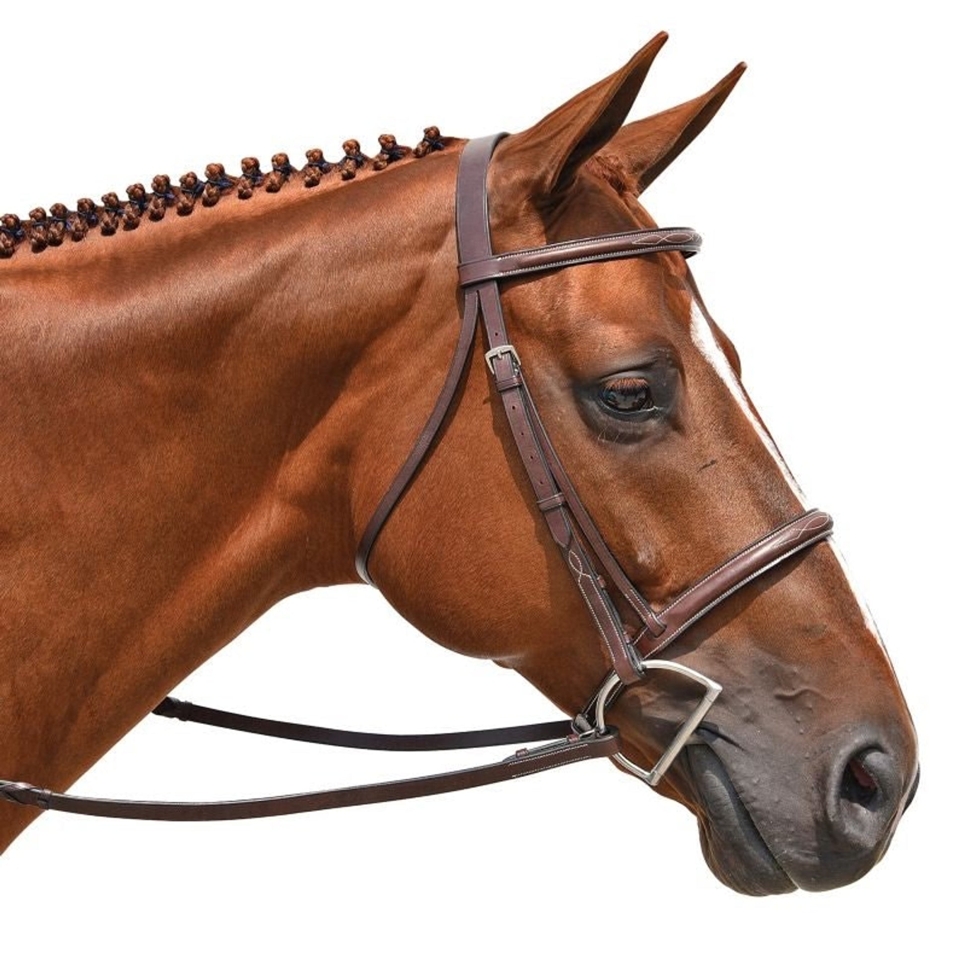 M Toulouse Working Hunter Snaffle Bridle