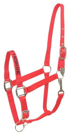 Gatsby I LOVE MY HORSE Nylon Halter