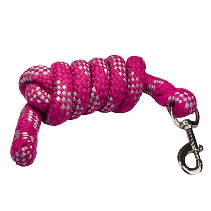 Gatsby Acrylic 6ft Lead Rope