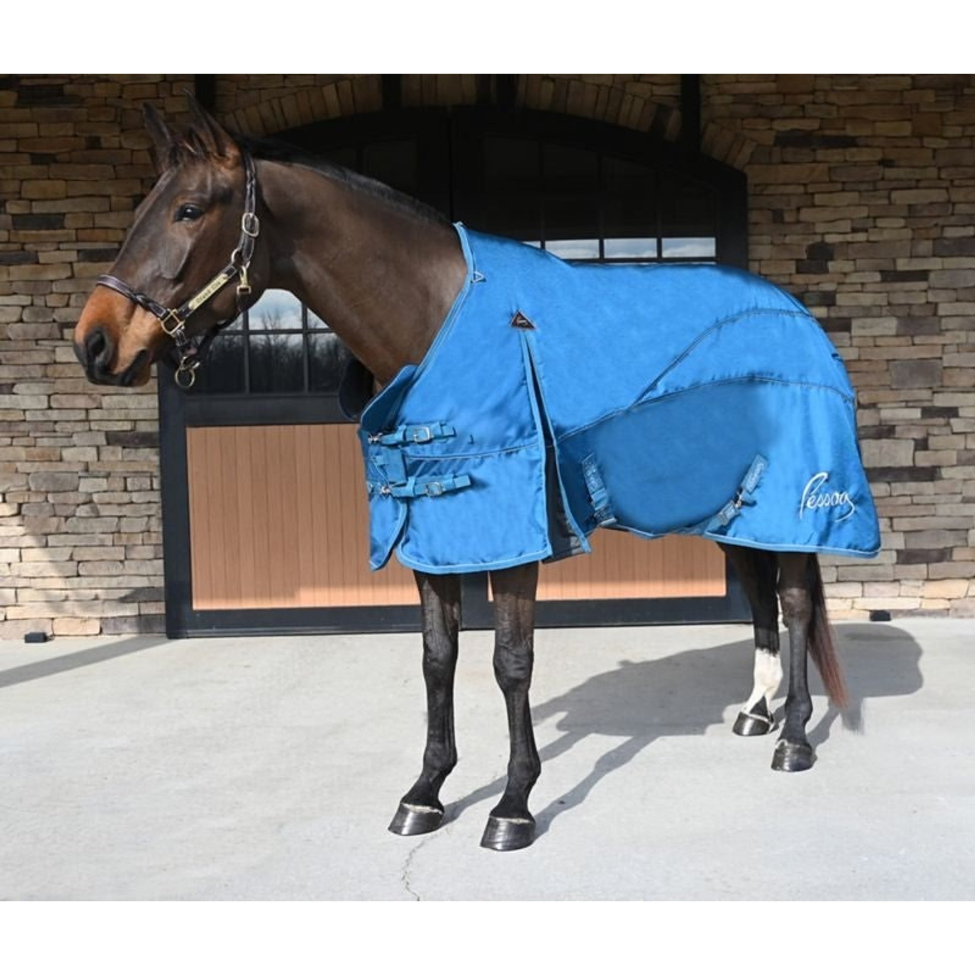 Stubben Reflective Stable Halter Full Blue