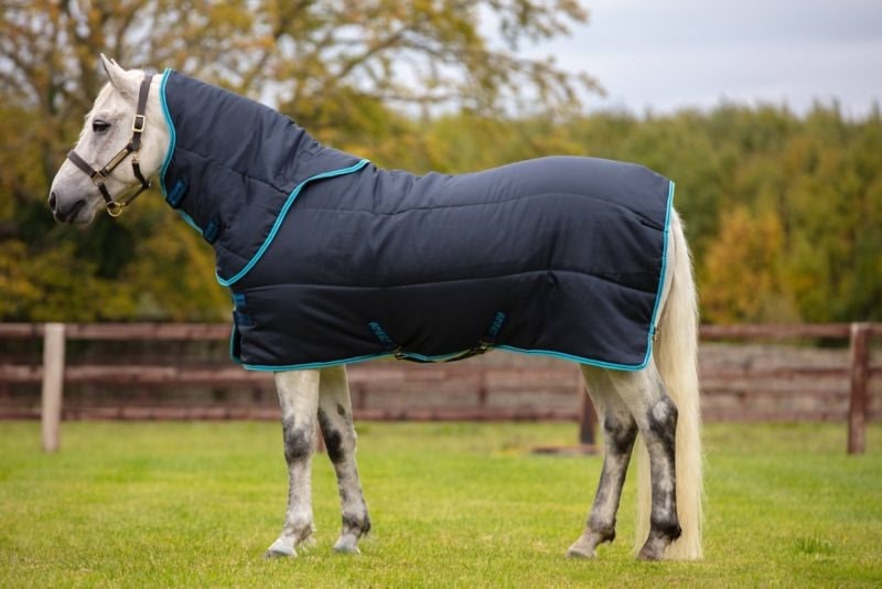 Amigo Insulator Pony Plus Medium