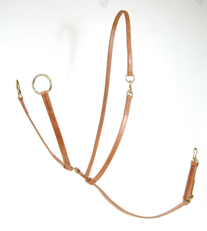 Al Dunning by Pro Choice Big Ring Martingale