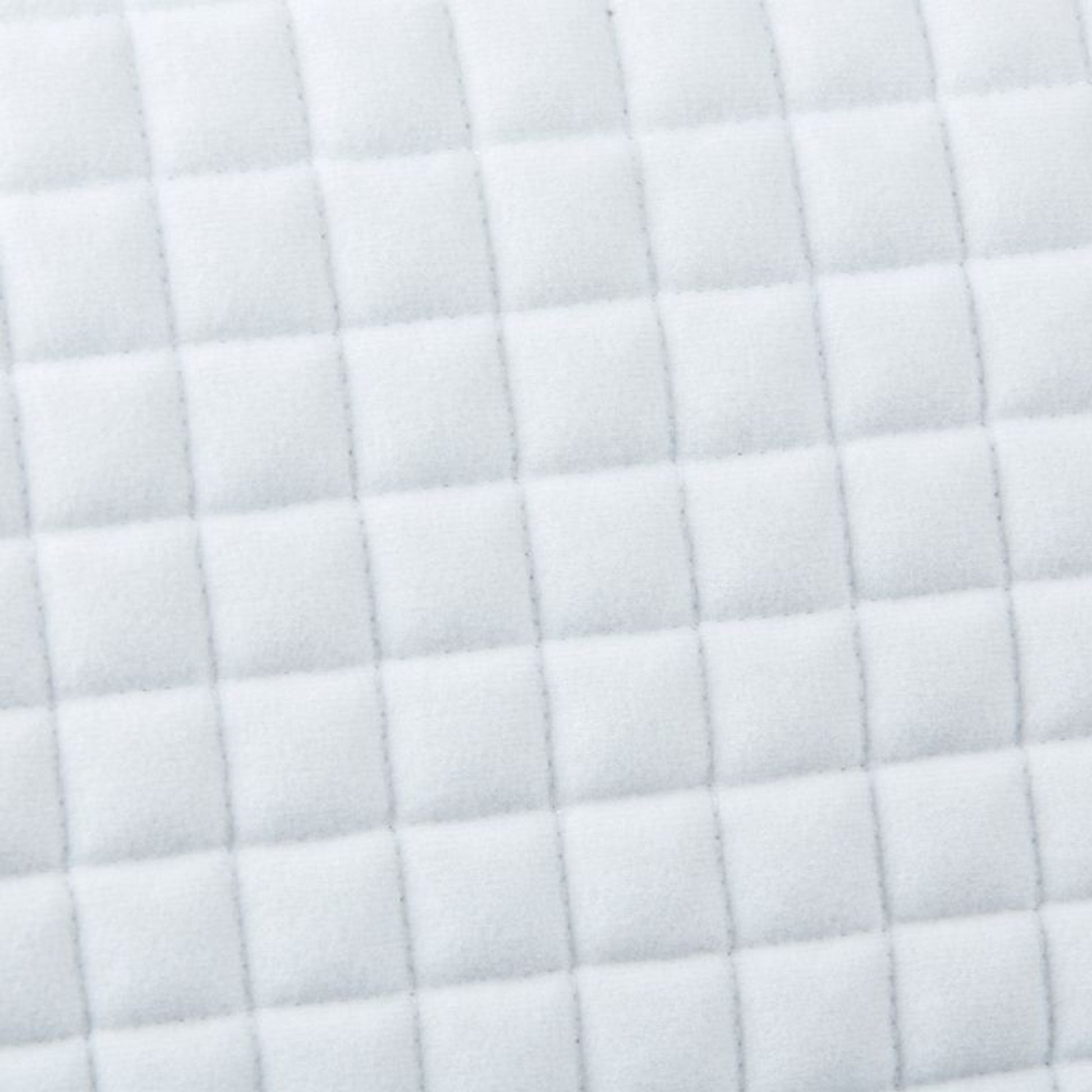 TE029766_814159_02.jpg