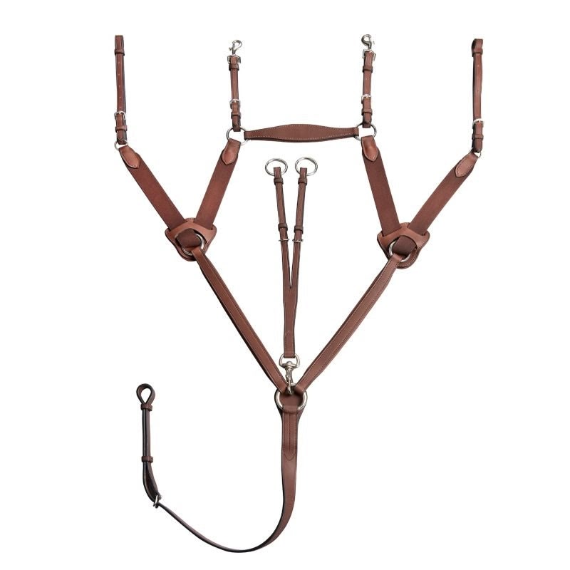 Arc de Triomphe 5-Point Brown Breastplate