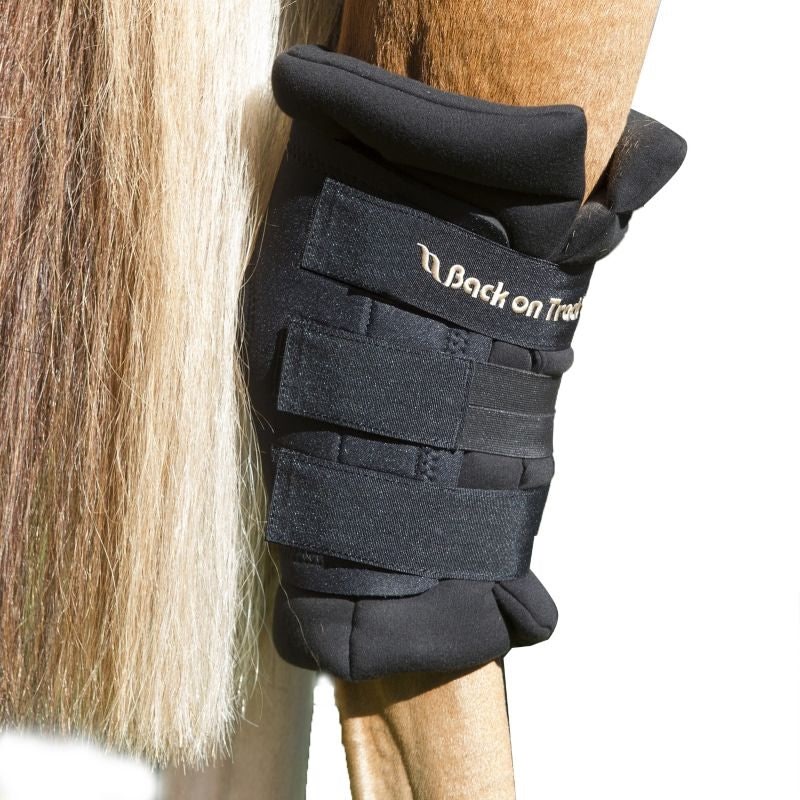 Back on Track Padded Royal Hock Boots w.Holes