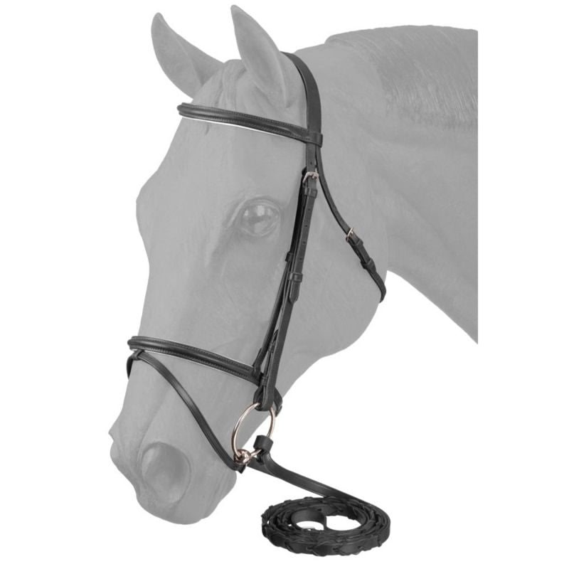 Equiroyal Padded Flash Noseband Bridle - Thumbnail 2