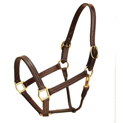 Tory ProKentucky Track Halter