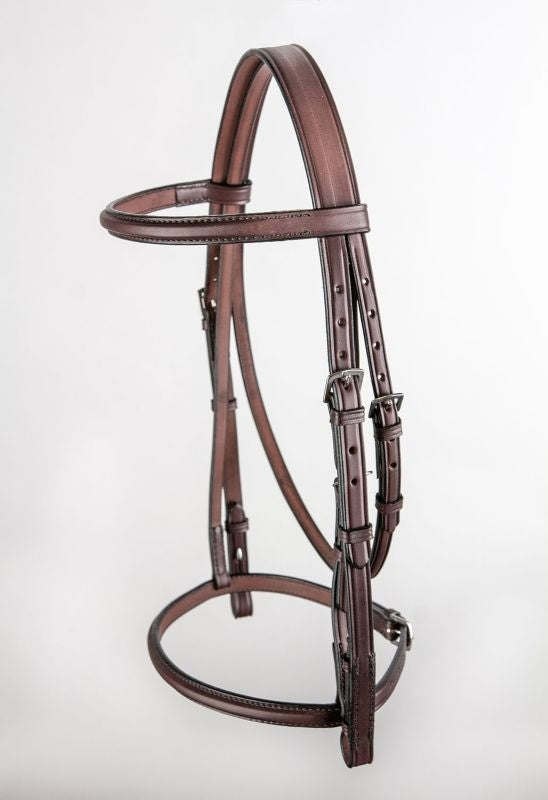 Tory Raised English Headstall