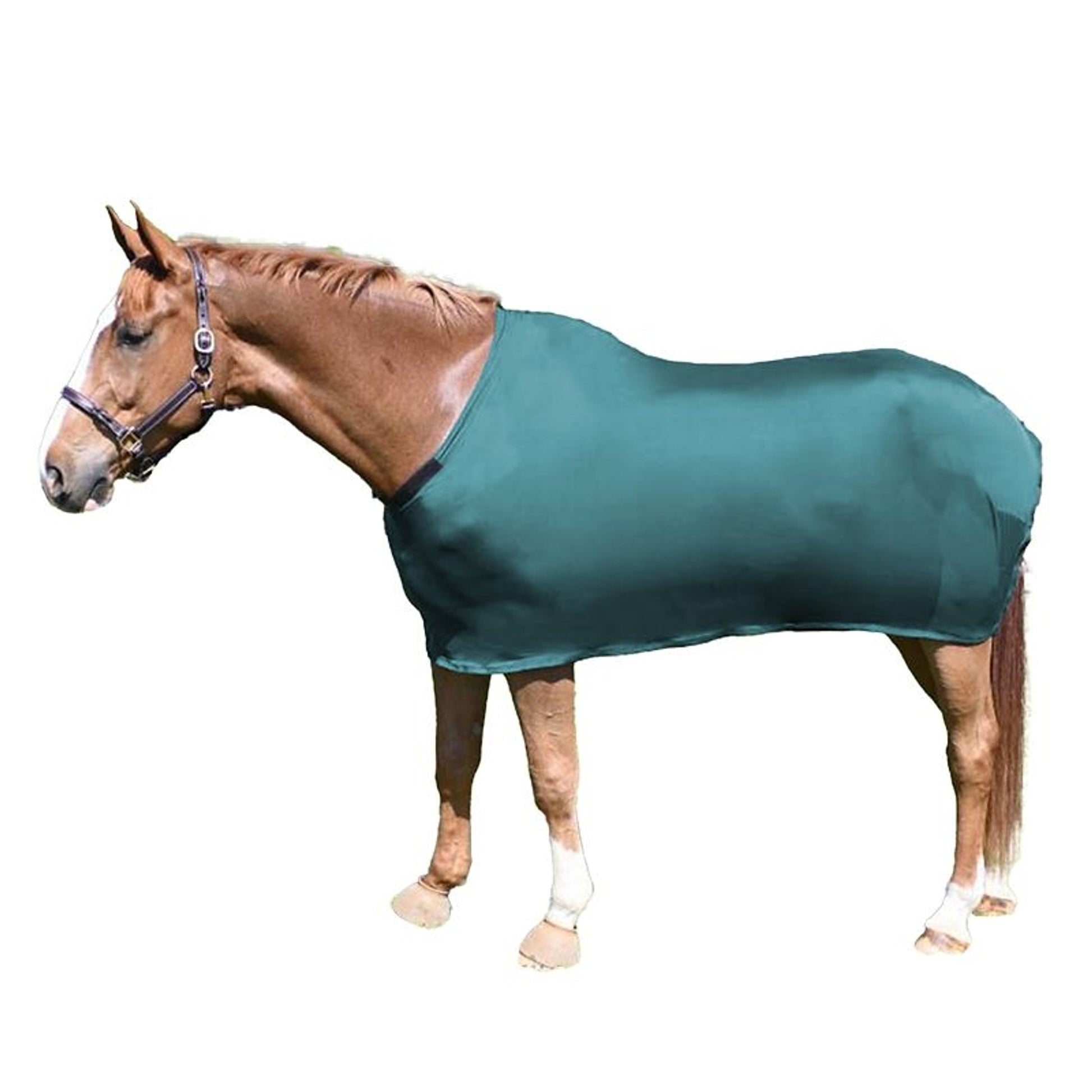 TE031731_897799_WO.jpg