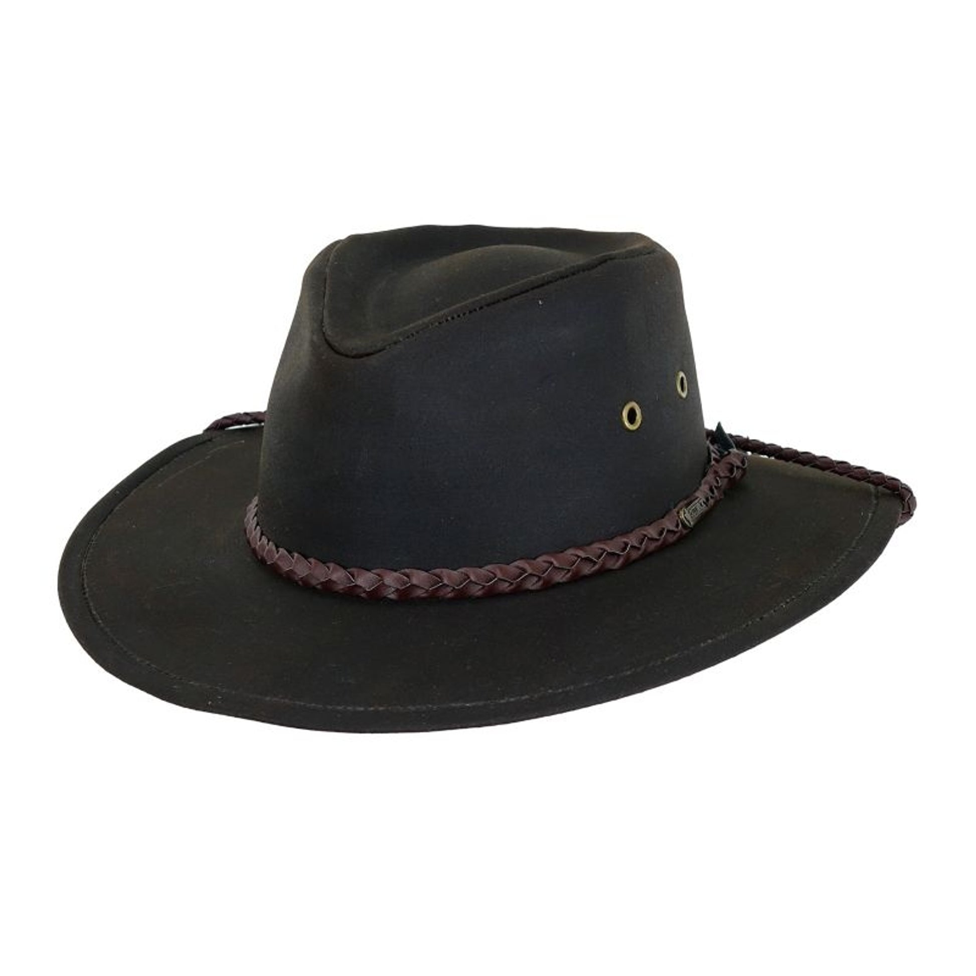 TE031909_841604_BROWN.jpg