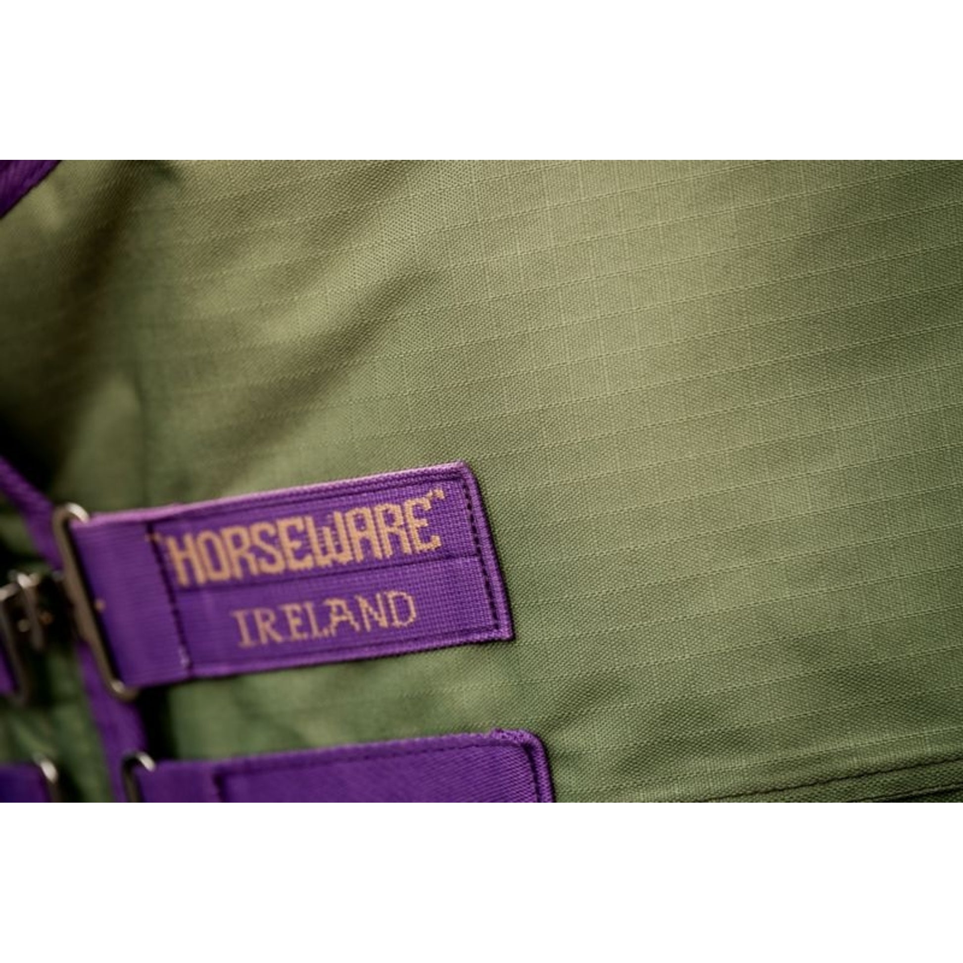 TE031970_BBR_02.jpg