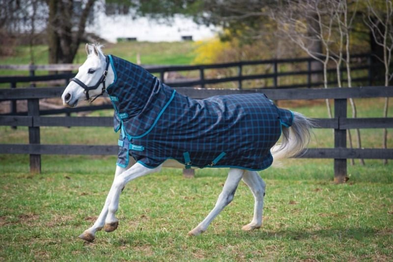Amigo Pony Plus Turnout 50g