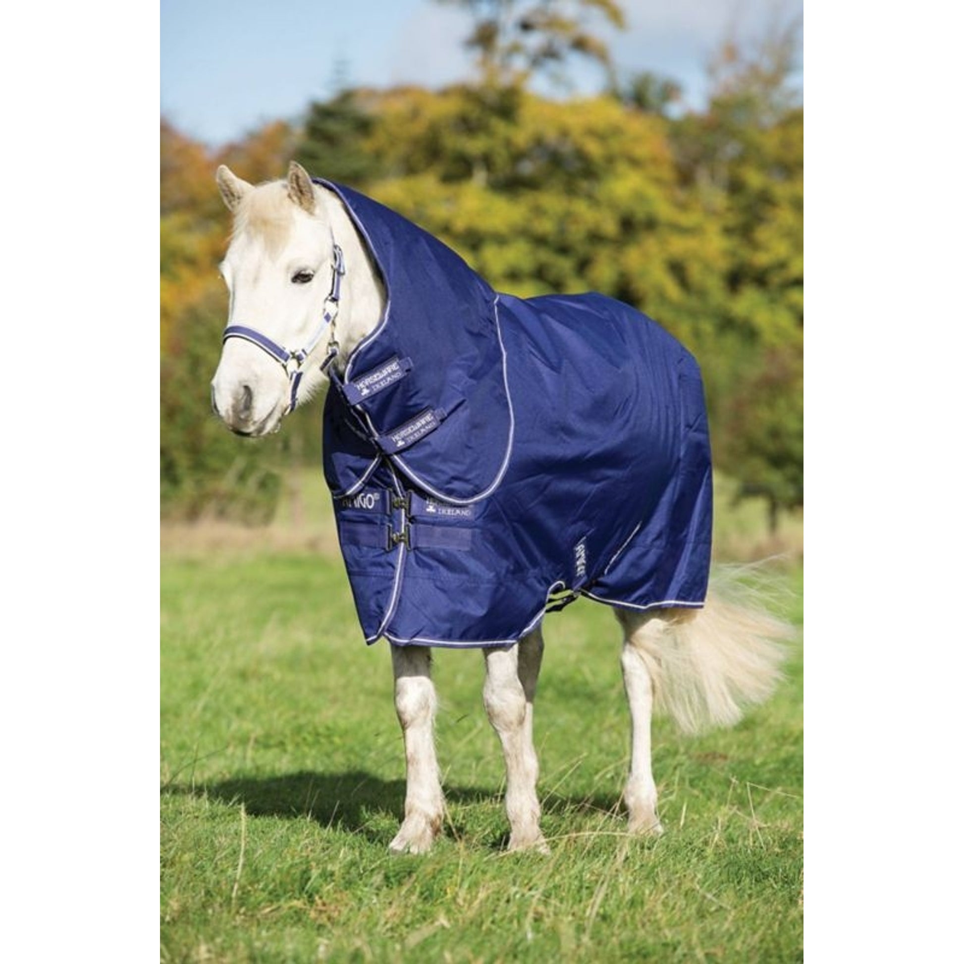 Amigo Hero 900 Pony Plus Medium
