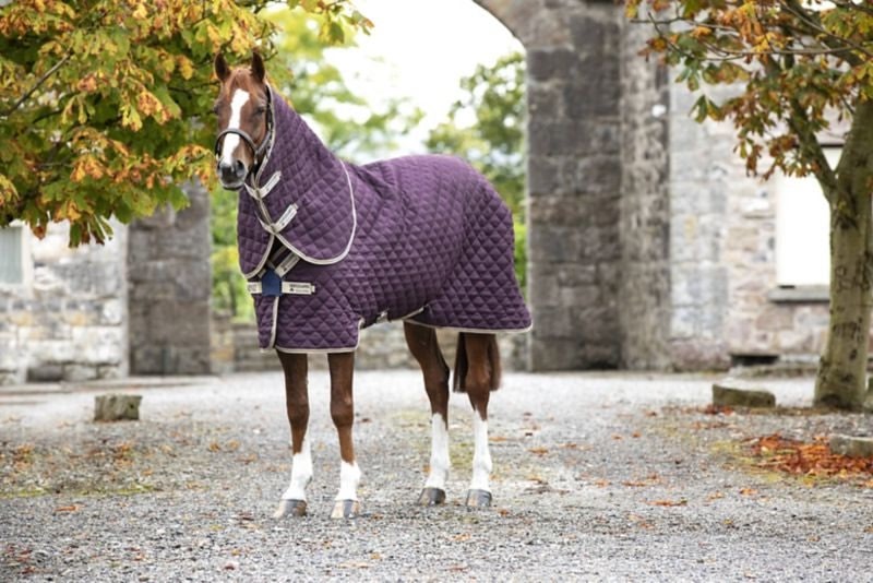 Amigo Stable Blanket Plus Medium