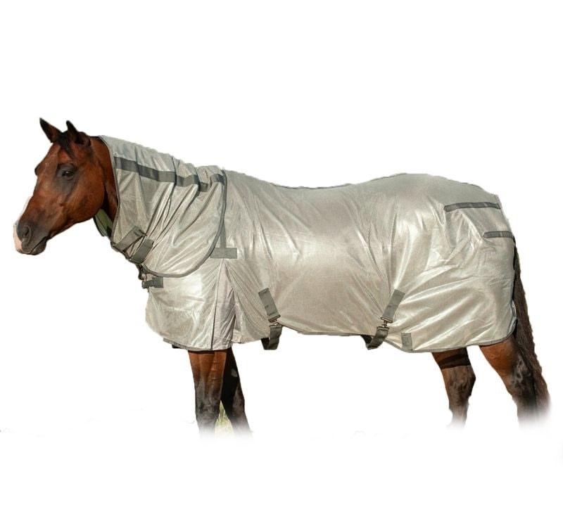 Cashel Econo Fly Sheet with Neck Guard