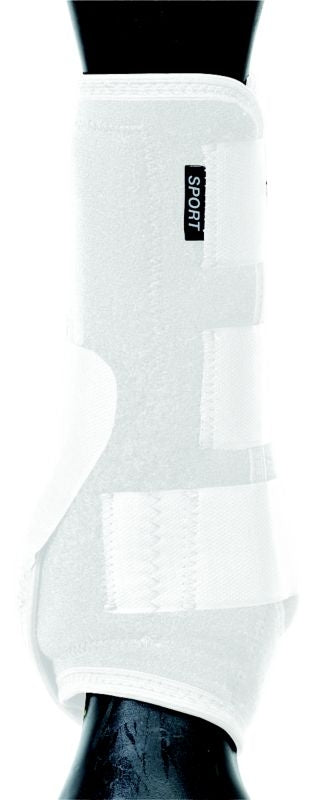 TE032787_850943.jpg