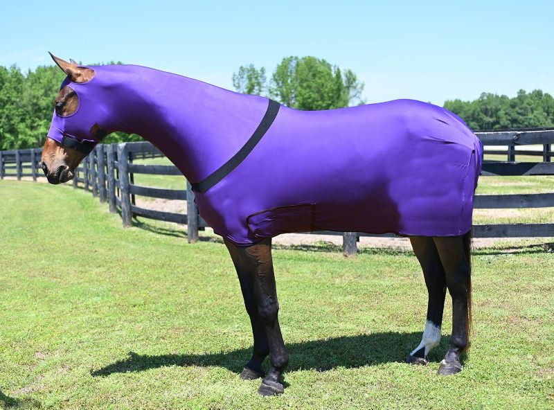 Clearance Horse Blankets - Cheap Prices - StateLineTack.com