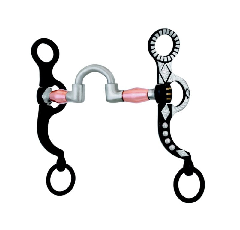 Metalab Spanish Correctional Bit